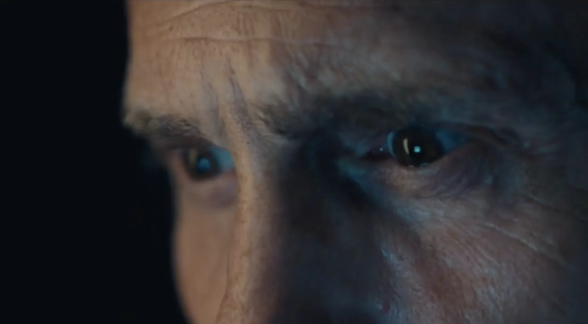 MSH — Brand Film, composed by Emil Dellert